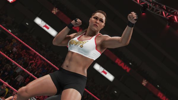 Аренда и прокат WWE 2K19 для PS4 для PS5 Хит 694