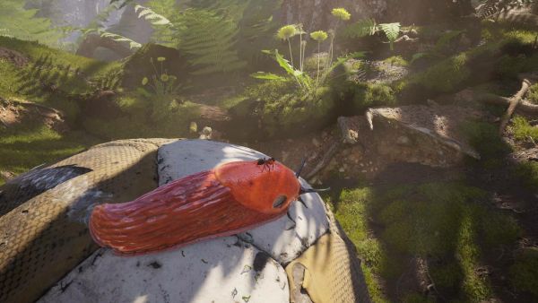 Аренда и прокат Empire of the Ants для PS5